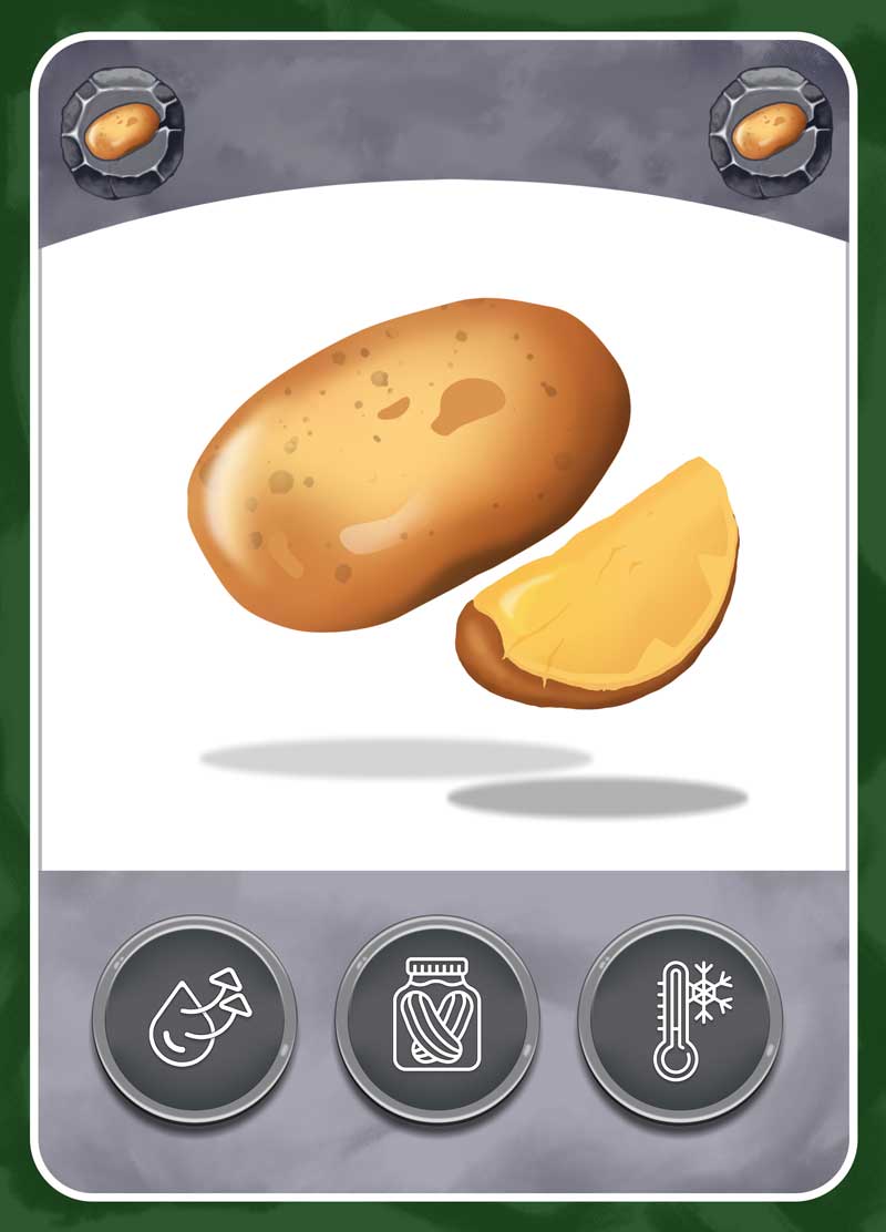 Zero Waste Chef Ingredient Card Assets