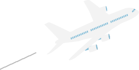 Beware Of The Bugs Banner Plane