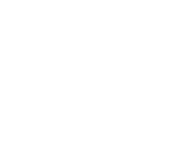 Miele G50 text