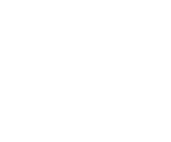 Amtrak Logo