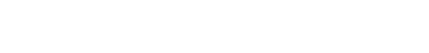 PayPal White Logo