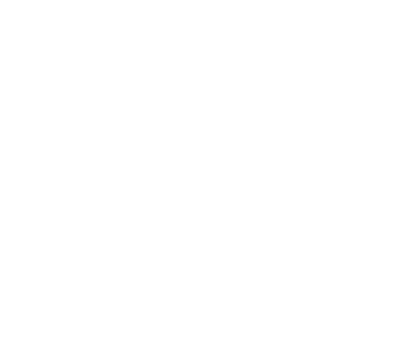 PayPal White Logo