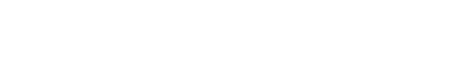PayPal White Logo