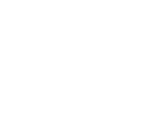 American Tourister Logo 1