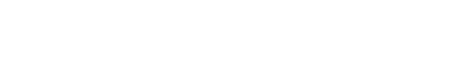 PayPal White Logo