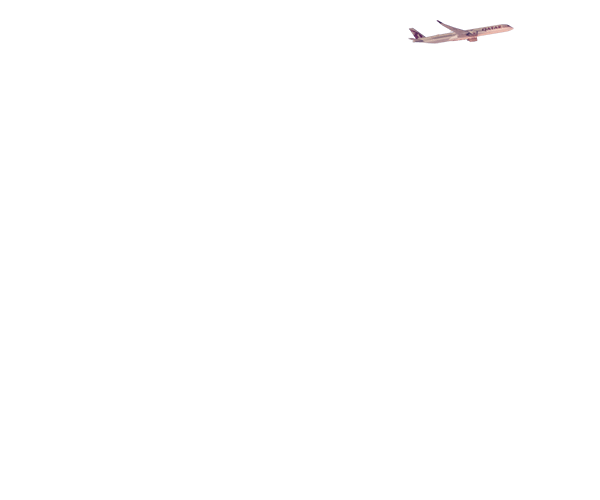 Qatar Airways banner Airplane