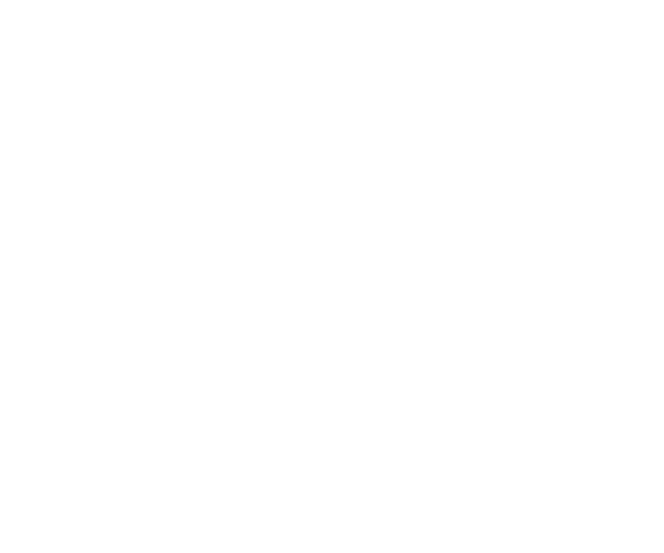 Amtrak Text Asset