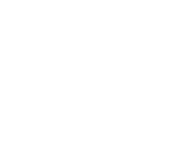 PayPal Text Asset