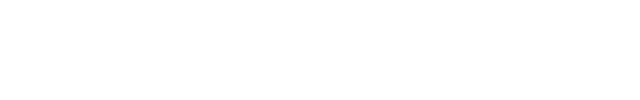 PayPal Text Asset