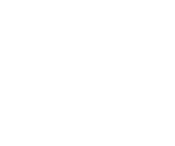 PayPal Text Asset