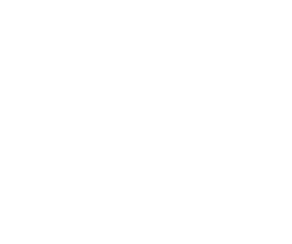 Amtrak Text Asset