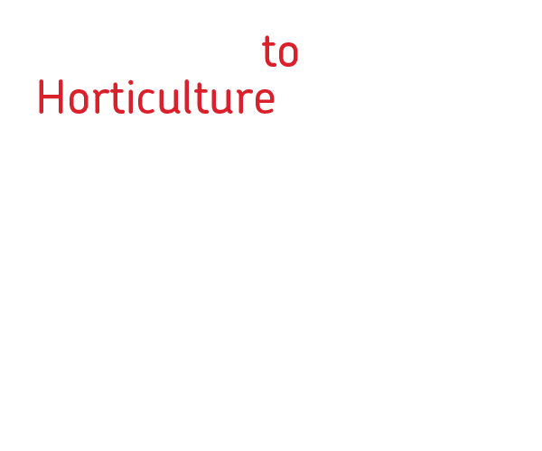 Royal Mail text asset