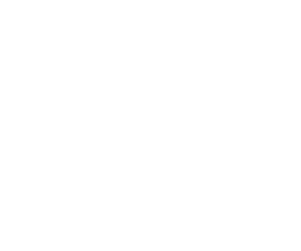 Amtrak Text Asset
