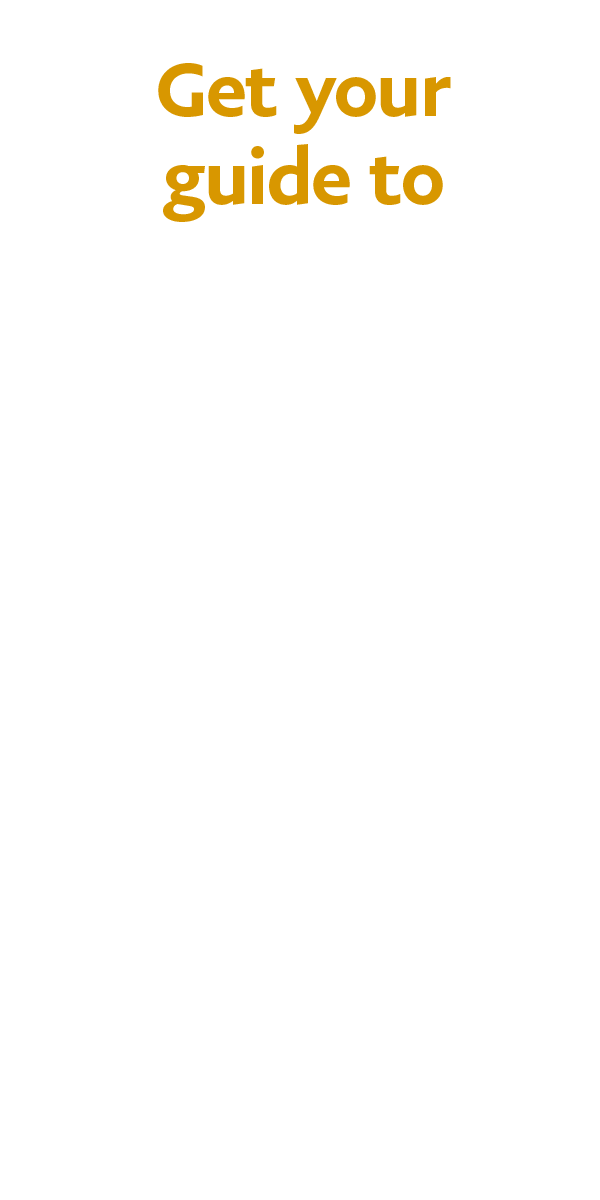 PayPal Text Asset