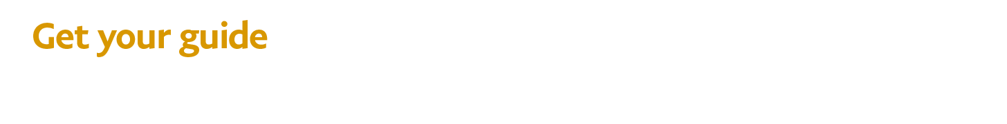 PayPal Text Asset